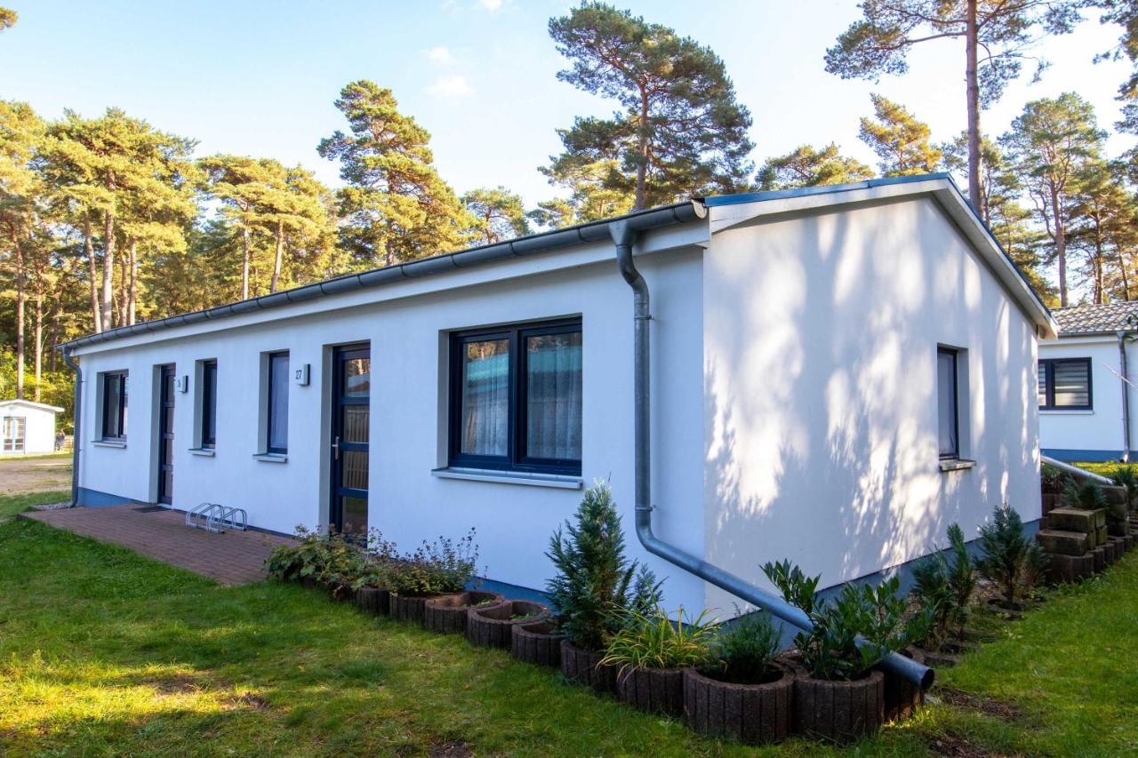 Apartment Zum Knirk Lubmin